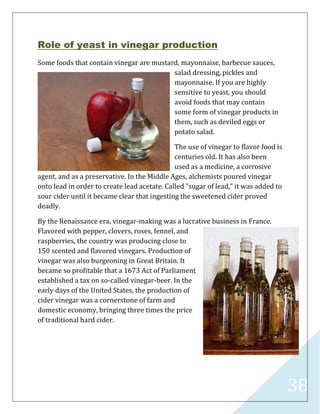 38
Role of yeast in vinegar production
Some foods that contain vinegar are mustard, mayonnaise, barbecue sauces,
salad dressing, pickles and
mayonnaise. If you are highly
sensitive to yeast, you should
avoid foods that may contain
some form of vinegar products in
them, such as deviled eggs or
potato salad.
The use of vinegar to flavor food is
centuries old. It has also been
used as a medicine, a corrosive
agent, and as a preservative. In the Middle Ages, alchemists poured vinegar
onto lead in order to create lead acetate. Called "sugar of lead," it was added to
sour cider until it became clear that ingesting the sweetened cider proved
deadly.
By the Renaissance era, vinegar-making was a lucrative business in France.
Flavored with pepper, clovers, roses, fennel, and
raspberries, the country was producing close to
150 scented and flavored vinegars. Production of
vinegar was also burgeoning in Great Britain. It
became so profitable that a 1673 Act of Parliament
established a tax on so-called vinegar-beer. In the
early days of the United States, the production of
cider vinegar was a cornerstone of farm and
domestic economy, bringing three times the price
of traditional hard cider.
 