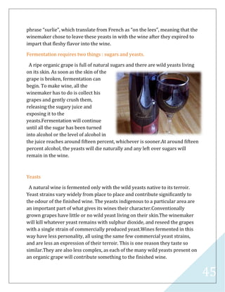 45
phrase “surlie”, which translate from French as “on the lees”, meaning that the
winemaker chose to leave these yeasts in with the wine after they expired to
impart that fleshy flavor into the wine.
Fermentation requires two things : sugars and yeasts.
A ripe organic grape is full of natural sugars and there are wild yeasts living
on its skin. As soon as the skin of the
grape is broken, fermentation can
begin. To make wine, all the
winemaker has to do is collect his
grapes and gently crush them,
releasing the sugary juice and
exposing it to the
yeasts.Fermentation will continue
until all the sugar has been turned
into alcohol or the level of alcohol in
the juice reaches around fifteen percent, whichever is sooner.At around fifteen
percent alcohol, the yeasts will die naturally and any left over sugars will
remain in the wine.
Yeasts
A natural wine is fermented only with the wild yeasts native to its terroir.
Yeast strains vary widely from place to place and contribute significantly to
the odour of the finished wine. The yeasts indigenous to a particular area are
an important part of what gives its wines their character.Conventionally
grown grapes have little or no wild yeast living on their skin.The winemaker
will kill whatever yeast remains with sulphur dioxide, and reseed the grapes
with a single strain of commercially produced yeast.Wines fermented in this
way have less personality, all using the same few commercial yeast strains,
and are less an expression of their terroir. This is one reason they taste so
similar.They are also less complex, as each of the many wild yeasts present on
an organic grape will contribute something to the finished wine.
 