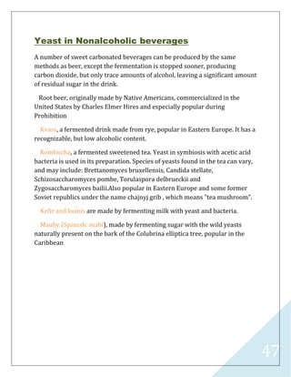 47
Yeast in Nonalcoholic beverages
A number of sweet carbonated beverages can be produced by the same
methods as beer, except the fermentation is stopped sooner, producing
carbon dioxide, but only trace amounts of alcohol, leaving a significant amount
of residual sugar in the drink.
Root beer, originally made by Native Americans, commercialized in the
United States by Charles Elmer Hires and especially popular during
Prohibition
Kvass, a fermented drink made from rye, popular in Eastern Europe. It has a
recognizable, but low alcoholic content.
Kombucha, a fermented sweetened tea. Yeast in symbiosis with acetic acid
bacteria is used in its preparation. Species of yeasts found in the tea can vary,
and may include: Brettanomyces bruxellensis, Candida stellate,
Schizosaccharomyces pombe, Torulaspora delbrueckii and
Zygosaccharomyces bailii.Also popular in Eastern Europe and some former
Soviet republics under the name chajnyj grib , which means "tea mushroom".
Kefir and kumis are made by fermenting milk with yeast and bacteria.
Mauby (Spanish: mabí), made by fermenting sugar with the wild yeasts
naturally present on the bark of the Colubrina elliptica tree, popular in the
Caribbean
 