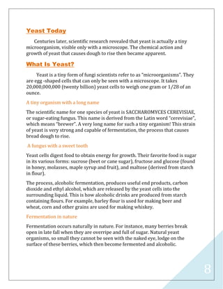 8
Yeast Today
Centuries later, scientific research revealed that yeast is actually a tiny
microorganism, visible only with a microscope. The chemical action and
growth of yeast that causes dough to rise then became apparent.
What Is Yeast?
Yeast is a tiny form of fungi scientists refer to as “microorganisms”. They
are egg -shaped cells that can only be seen with a microscope. It takes
20,000,000,000 (twenty billion) yeast cells to weigh one gram or 1/28 of an
ounce.
A tiny organism with a long name
The scientific name for one species of yeast is SACCHAROMYCES CEREVISIAE,
or sugar-eating fungus. This name is derived from the Latin word “cerevisiae”,
which means “brewer”. A very long name for such a tiny organism! This strain
of yeast is very strong and capable of fermentation, the process that causes
bread dough to rise.
A fungus with a sweet tooth
Yeast cells digest food to obtain energy for growth. Their favorite food is sugar
in its various forms: sucrose (beet or cane sugar), fructose and glucose (found
in honey, molasses, maple syrup and fruit), and maltose (derived from starch
in flour).
The process, alcoholic fermentation, produces useful end products, carbon
dioxide and ethyl alcohol, which are released by the yeast cells into the
surrounding liquid. This is how alcoholic drinks are produced from starch
containing flours. For example, barley flour is used for making beer and
wheat, corn and other grains are used for making whiskey.
Fermentation in nature
Fermentation occurs naturally in nature. For instance, many berries break
open in late fall when they are overripe and full of sugar. Natural yeast
organisms, so small they cannot be seen with the naked eye, lodge on the
surface of these berries, which then become fermented and alcoholic.
 