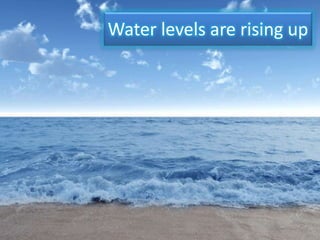 Water levels are rising up
 