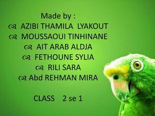 Made by :
 AZIBI THAMILA LYAKOUT
 MOUSSAOUI TINHINANE
 AIT ARAB ALDJA
 FETHOUNE SYLIA
 RILI SARA
 Abd REHMAN MIRA
CLASS 2 se 1
 