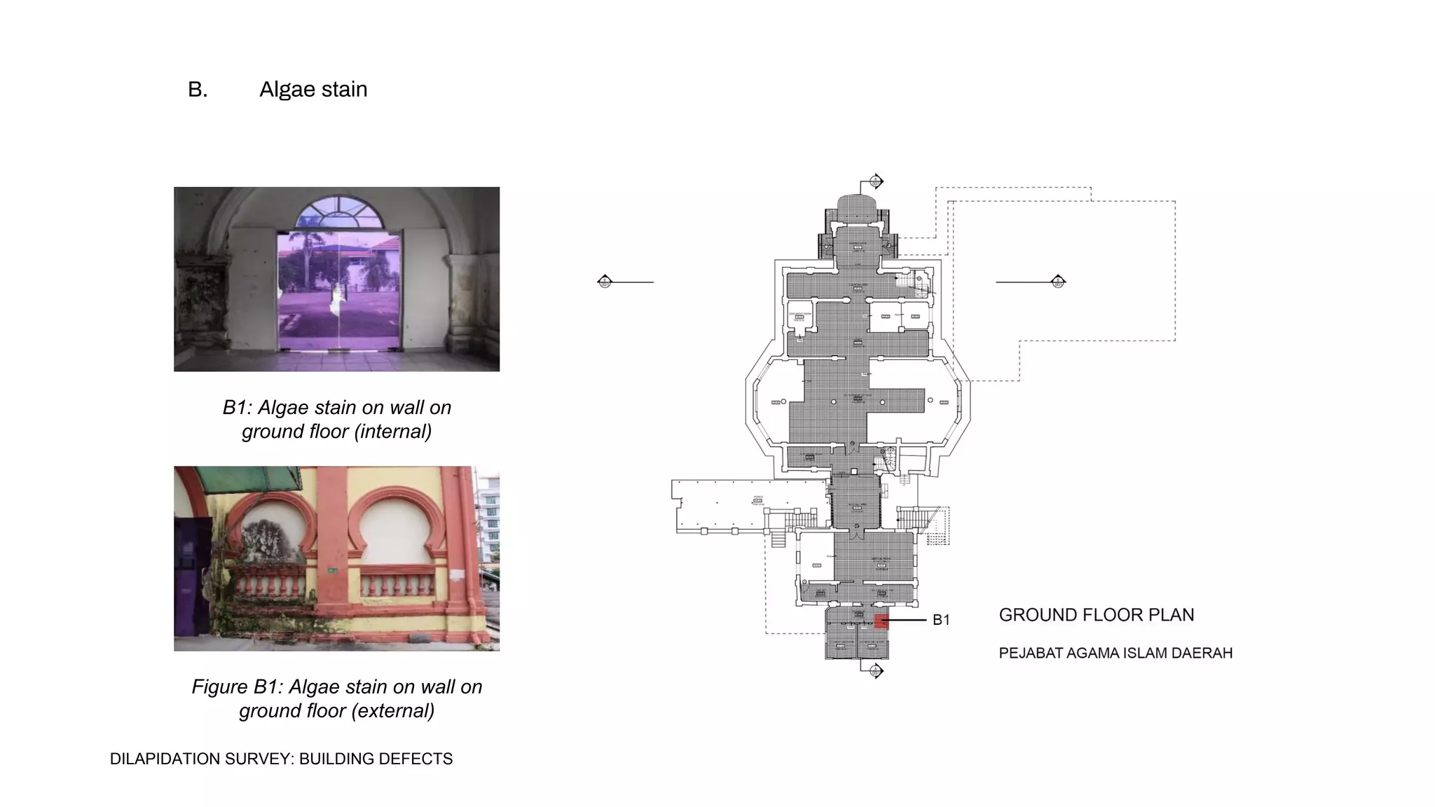 B1: Algae stain on wall on
ground floor (internal)
Figure B1: Algae stain on wall on
ground floor (external)
B. Algae stain
DILAPIDATION SURVEY: BUILDING DEFECTS
 