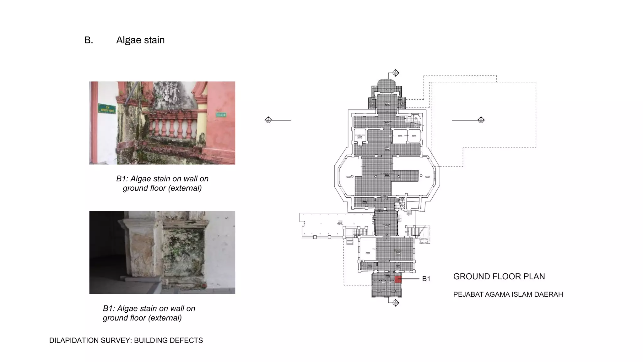 B1: Algae stain on wall on
ground floor (external)
B1: Algae stain on wall on
ground floor (external)
B. Algae stain
DILAPIDATION SURVEY: BUILDING DEFECTS
 