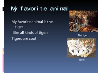 My favorite animal  My favorite animal is the tiger I like all kinds of tigers Tigers are cool  The tiger  tigers 