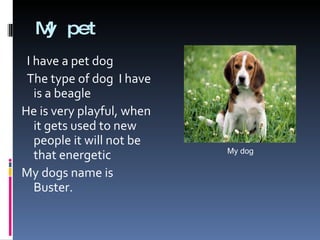 My pet I have a pet dog The type of dog  I have is a beagle He is very playful, when it gets used to new people it will not be that energetic My dogs name is Buster.  My dog 