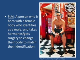 • FtM: A person who is
born with a female
body who identifies
as a male, and takes
hormones/gets
surgery to change
their body to match
their identification

http://www.xxboys.net/photos/gallery/leo02.jpg

 