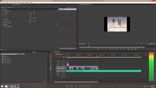 Project 3 (wip) animation