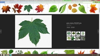 Project 3 (wip) animation