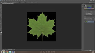Project 3 (wip) animation