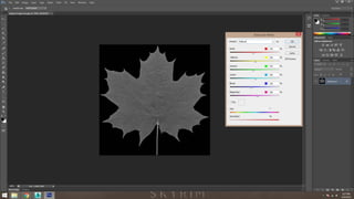 Project 3 (wip) animation