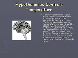 Hypothalamus Controls Temperature The hypothalamus is like your brain's inner thermostat (that little box on the wall that controls the heat in your house). The hypothalamus knows what temperature your body should be (about 98.6° Fahrenheit or 37° Celsius). If your body is too hot, the hypothalamus tells it to sweat. If you're too cold, the hypothalamus gets you shivering. Both  shivering  and  sweating  are attempts to get your body's temperature back where it needs to be.  