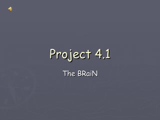 Project 4.1 The BRaiN 