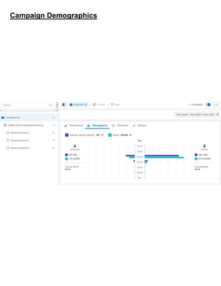 Campaign Demographics
 