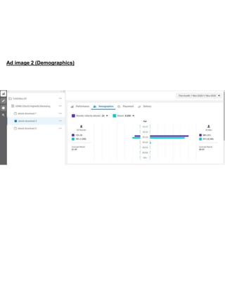 Ad image 2 (Demographics)
 