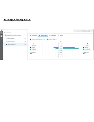 Ad image 3 Demographics
 