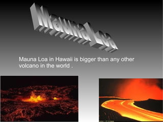 Mauna Loa in Hawaii is bigger than any other
volcano in the world .
 