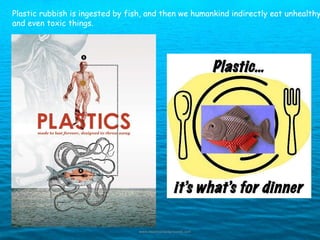 Plastic rubbish is ingested by fish, and then we humankind indirectly eat unhealthy,  and even toxic things.   