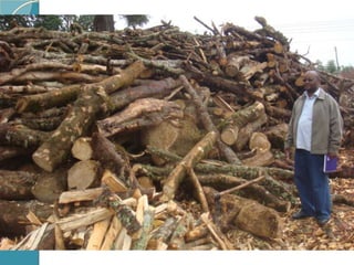 Integrated process for sustainable agro process waste treatment and climate change mitigation in eastern Africa