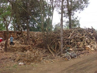 Integrated process for sustainable agro process waste treatment and climate change mitigation in eastern Africa