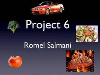 Project 6
Romel Salmani
 