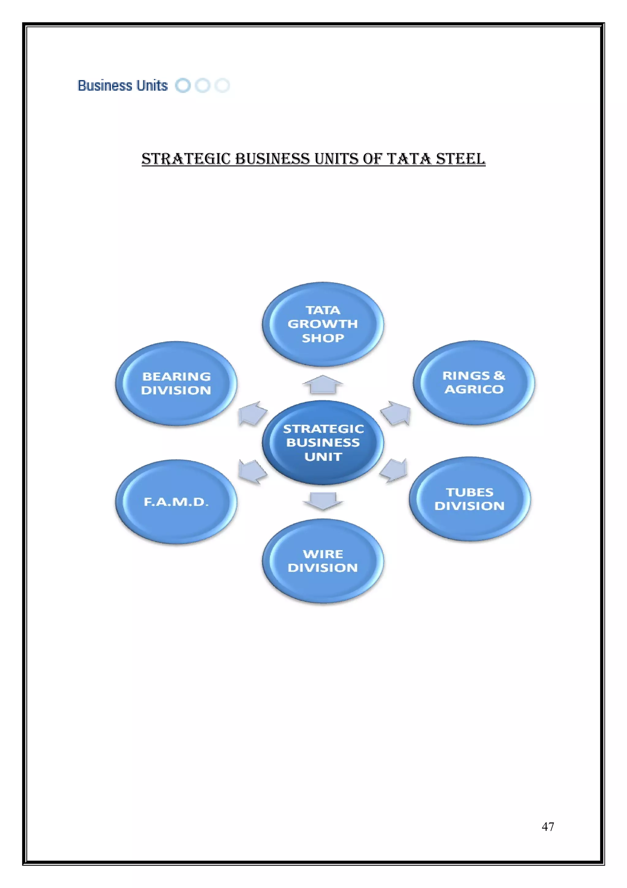StrateGiC buSineSS unitS oF tata Steel




                                         47
 