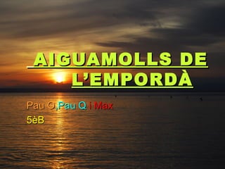 AIGUAMOLLS DEAIGUAMOLLS DE
L’EMPORDÀL’EMPORDÀ
Pau OPau O,Pau Q,Pau Q i Maxi Max
5èB5èB
 