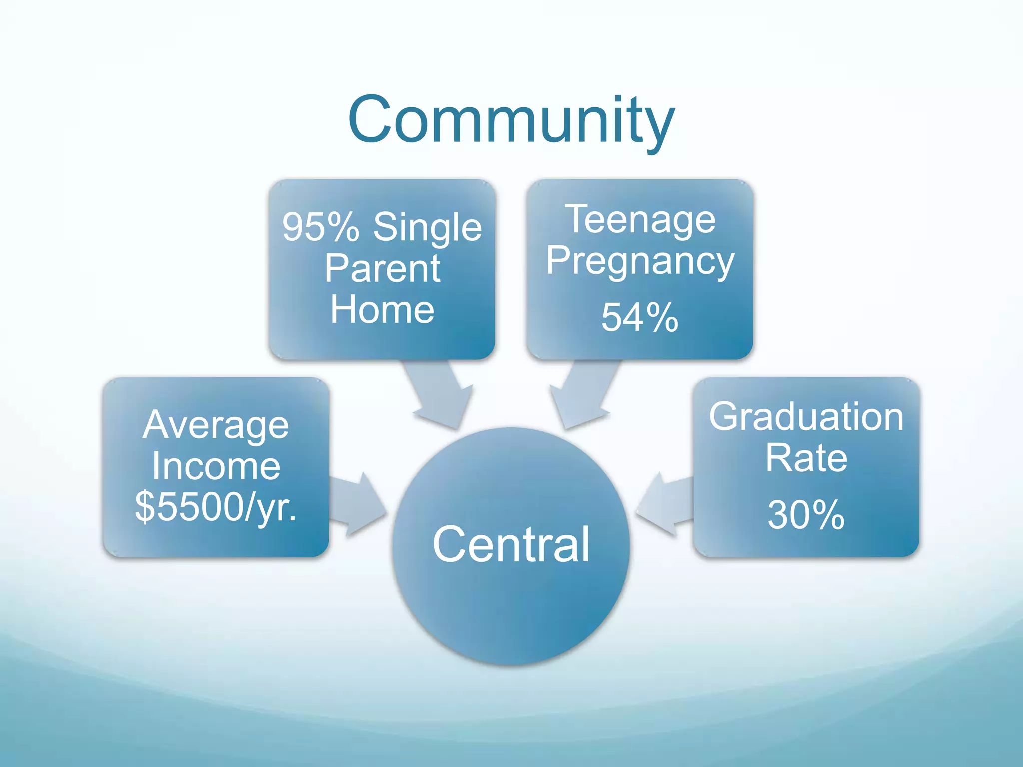 Project Access Presentation final
