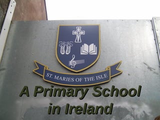 A Primary School
    in Ireland
 