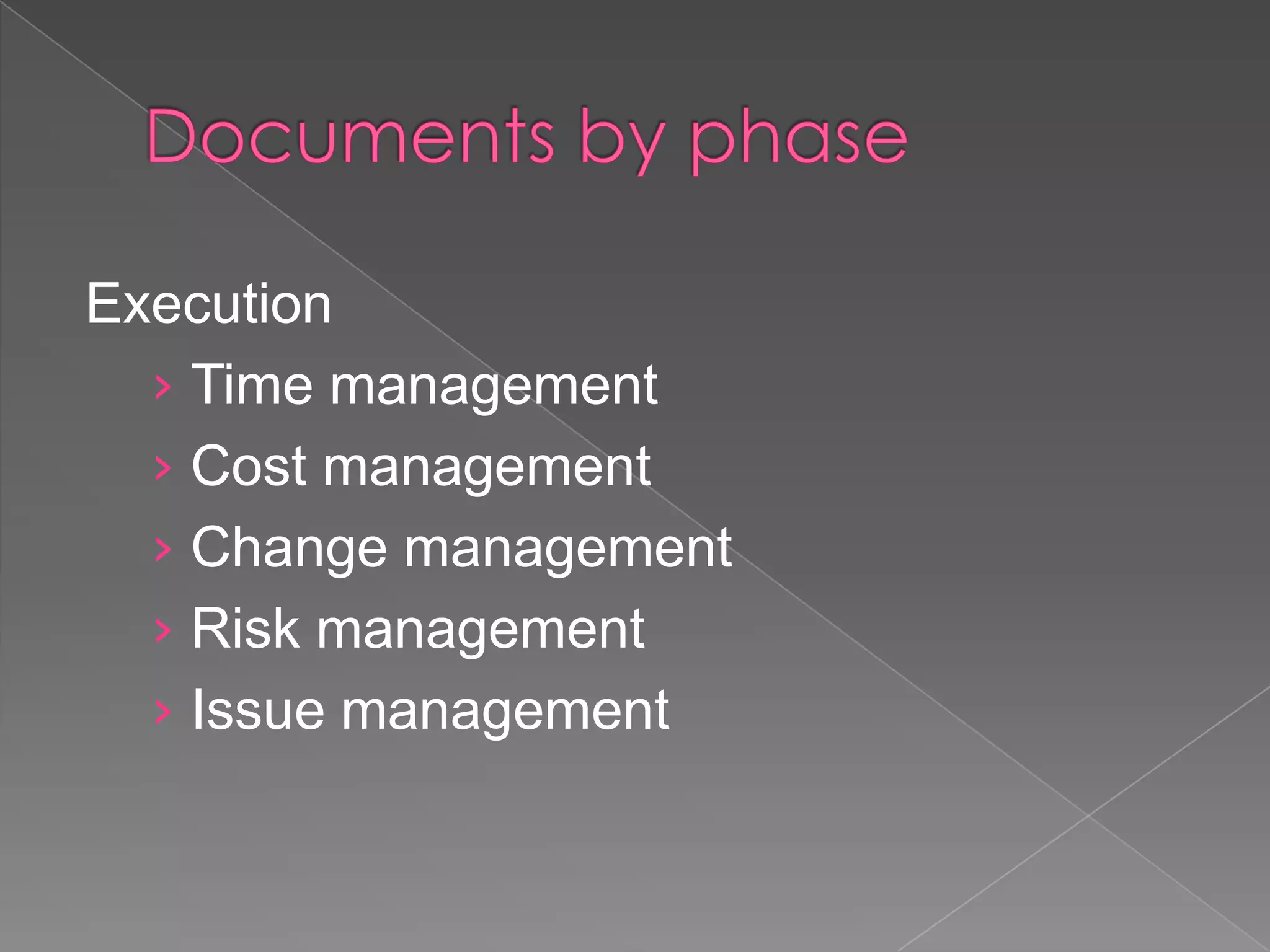 Execution
  › Time management
  › Cost management
  › Change management
  › Risk management
  › Issue management
 
