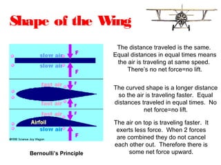 The distance traveled is the same.
Equal distances in equal times means
the air is traveling at same speed.
There’s no net force=no lift.
The curved shape is a longer distance
so the air is traveling faster. Equal
distances traveled in equal times. No
net force=no lift.
The air on top is traveling faster. It
exerts less force. When 2 forces
are combined they do not cancel
each other out. Therefore there is
some net force upward.
Shape of the Wing
Bernoulli’s Principle
 
