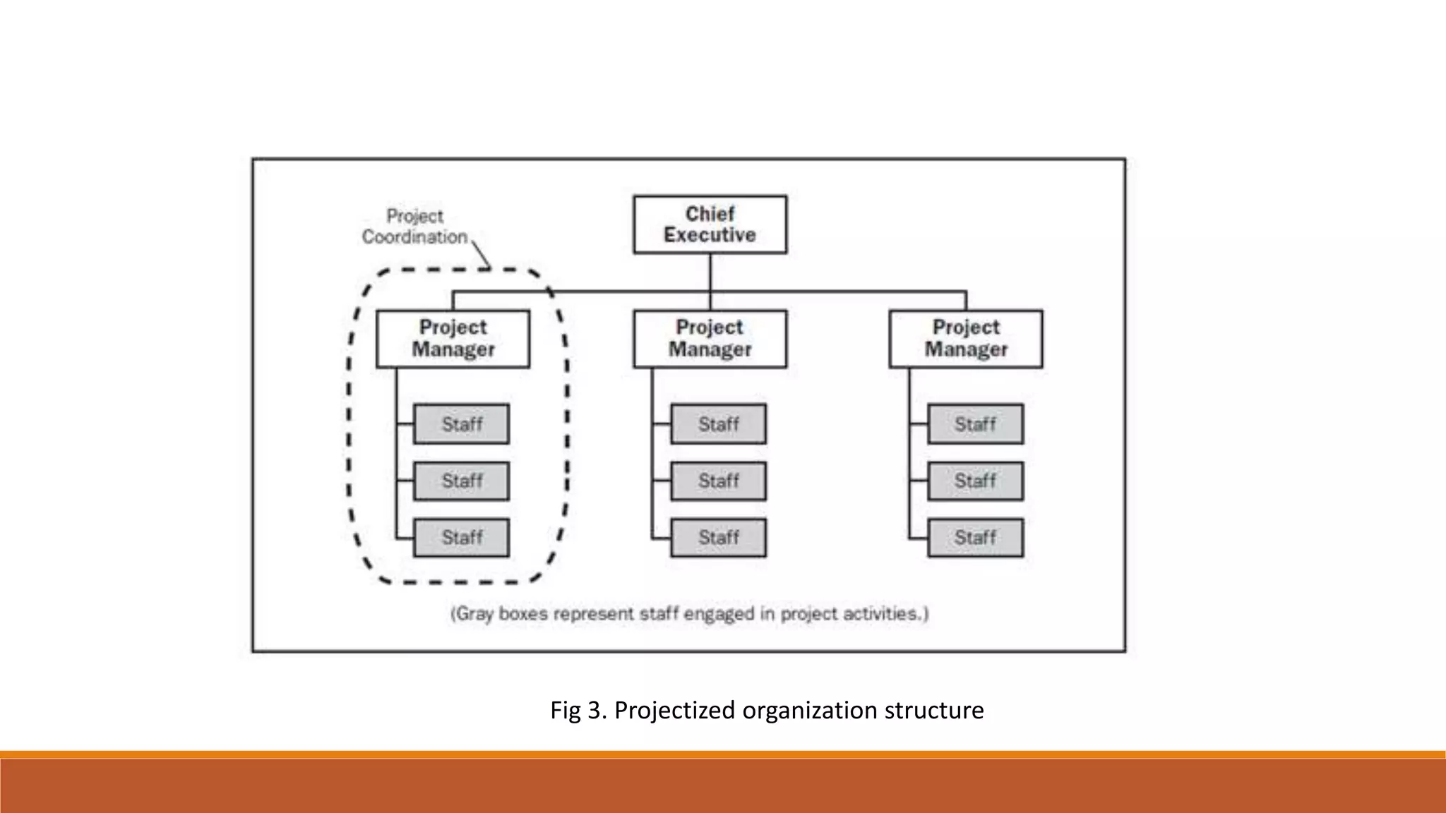 Fig 3. Projectized organization structure
 
