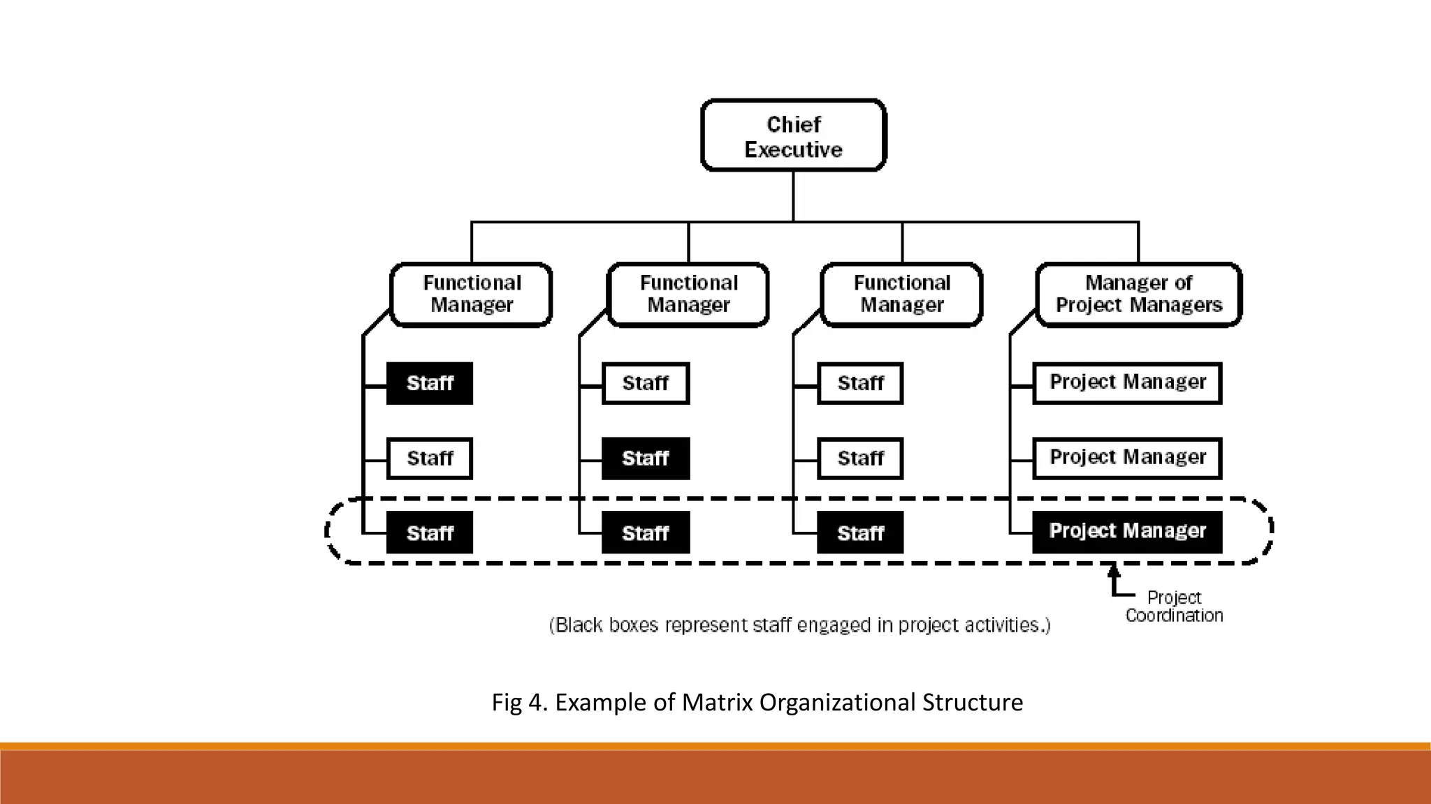 Fig 4. Example of Matrix Organizational Structure
 