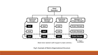 Fig 4. Example of Matrix Organizational Structure
 