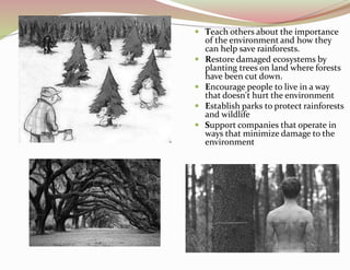  Teach others about the importance
of the environment and how they
can help save rainforests.
 Restore damaged ecosystems by
planting trees on land where forests
have been cut down.
 Encourage people to live in a way
that doesn't hurt the environment
 Establish parks to protect rainforests
and wildlife
 Support companies that operate in
ways that minimize damage to the
environment
 