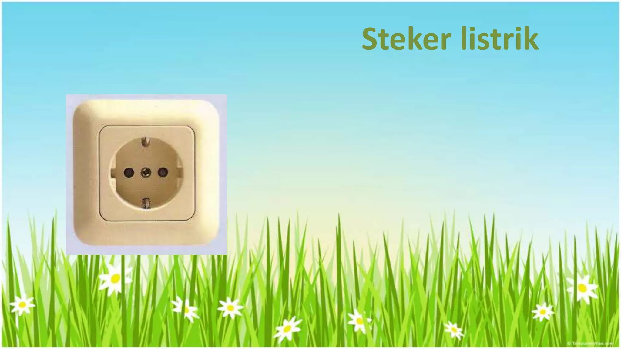 Steker listrik
 