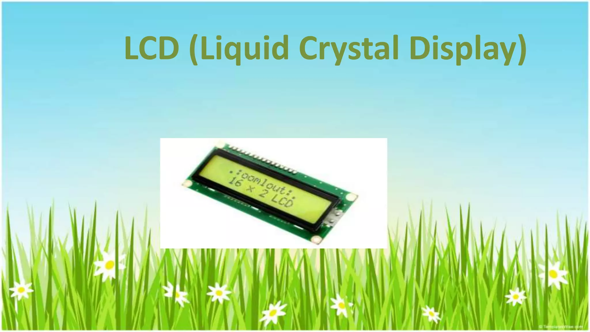 LCD (Liquid Crystal Display)
 