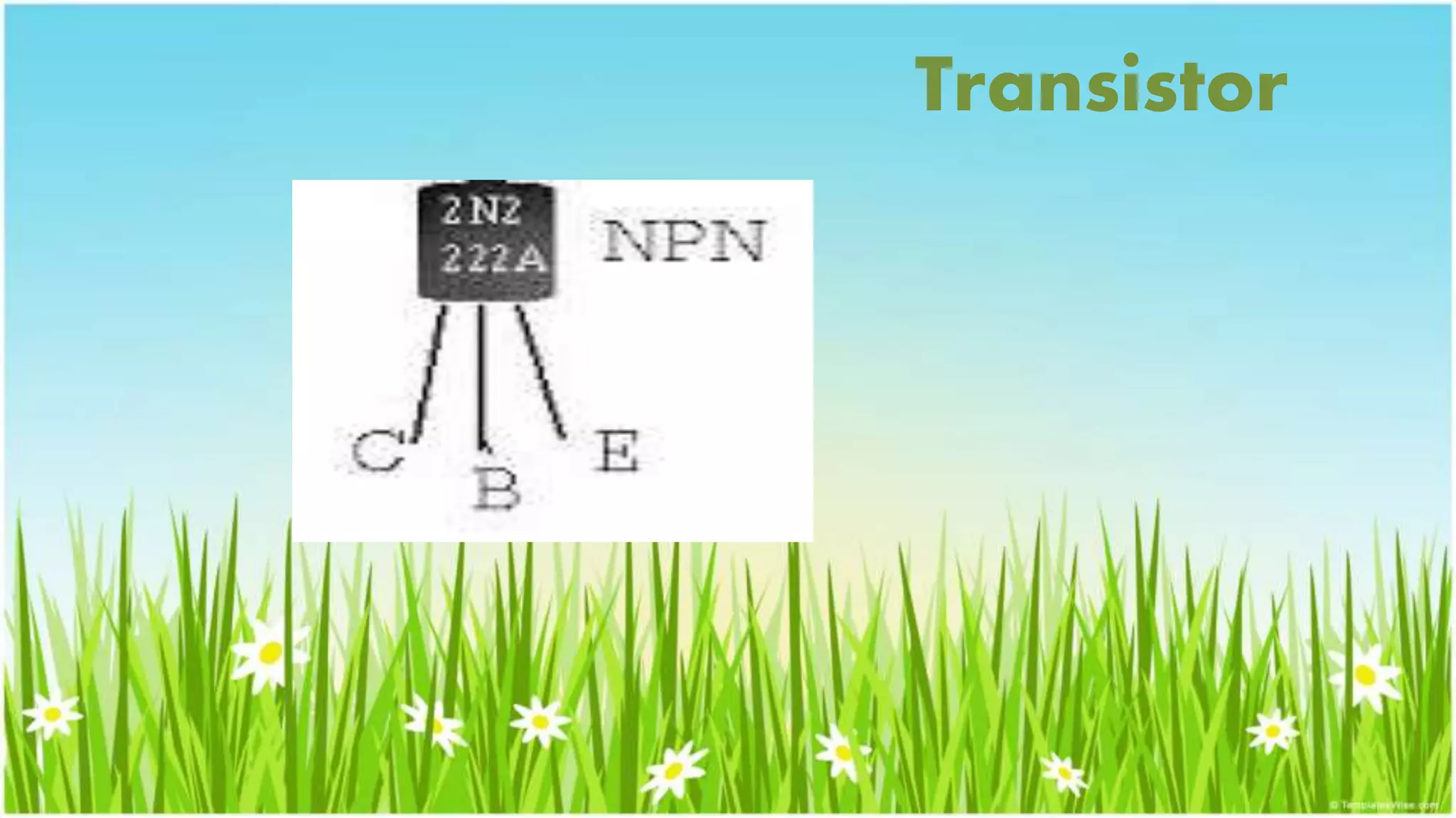 Transistor
 