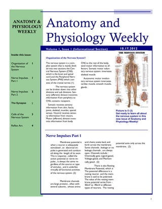 ANATOMY &
PHYSIOLOGY
  WEEKLY
                         Anatomy and
                         Physiology Weekly
                         Volume 1, Issue 1 (Informational Section)                                       10.17.2012
Inside this issue:
                         Organization of the Nervous System!!

Organization of      1   The nervous system is a com-           CNS to the rest of the body,
the Nervous              plex system that is mainly divid-      send motor information to ef-
System                   ed into two sections the Cen-          fectors. Somatic motor volun-
                         tral Nervous System (CNS)              tary nervous system: innervates
                         which is the brain and spinal          skeletal muscle
                         cord and the Peripheral Nerv-
Nerve Impulses       1                                             Autonomic motor involun-
                         ous System (PNS) which con-
Part 1                                                          tary nervous system innervates
                         sists of the cranial nerves (1).       cardiac muscle, smooth muscle,
                                    The nervous system          glands .
                         can be broken down into other
Nerve Impulses       2   divisions and sub divisions. Sen-
Part 2                   sory (afferent) division transmits
                         information from periphery to
                         CNS, contains receptors.
The Synapse          2
                           Somatic receives sensory
                         information from skin, fascia,
                         joints, skeletal, muscles, special                                           Picture is © (3)
                         senses. Visceral receives senso-                                             Get ready to learn all about
Cells of the         3
                         ry information from viscera.                                                 the nervous system in this
Nervous System           Motor (efferent) division trans-                                             new issue of Anatomy and
                         mits information from body                                                   Physiology Weekly!
Reflex Arc           4


                         Nerve Impulses Part 1
                                          Membrane potential is     acid chains snake back and     potential exits only across the
                              when a neuron is adequately           forth across the membrane.
                              stimulated , an electrical im-        Some channels , leakage or no membrane. (2)
                              pulse is generated and conduct-       leakage channels , are always
                              ed along the length of its axon.      open. Channels include :
                              This is response , called the         Chemically gate, Ligand-gated,
                              action potential or nerve im-         Voltage-gated, and Mechani-
                              pulse , is always the same re-        cally gated . (2)
                              gardless of the source or type
                                                                              There is also Resting
                              of stimulus , and it underlies
                                                                    Membrane Potential, which is
                              virtually all functional activities
                                                                    The potential difference in a
                              of the nervous system. (2)            resting neuron and the mem-
                                                                    brane is said to be polarized.
                                                                    The value of the resting mem-
                                        Membrane channels           brane potential varies from -
                              are large proteins , often with       40mV to -90mV in different
                              several subunits , whose amino        types of neurons. The resting



                                                                                                                                     1
 