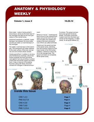 ANATOMY & PHYSIOLOGY
        WEEKLY
        Volume 1, Issue 2                                                                    10.29.12




Dura mater: made of strong white fi-           ment.                                Functions: The spinal cord per-
brous tissue, serves as the outer layer of                                          forms two general functions.
the meninges and also as the inner peri-       Where is it found : cerebrospinal
                                                                                    Briefly, it provides conduction
osteum of the cranial bones.                   fluid is found in the subarachnoid
                                                                                    routes to and from the brain and
                                               space around the brain and spi-
                                                                                    serves as the integrator, or reflex
Arachnoid membrane, a delicate, coweb          nal cord within the cavities and
                                                                                    center, for all spinal reflexes (2)
like-layer, lies between the dura matter       canals of the brain and spinal
and the pia matter or innermost layer of       cord. Which are called ventricles
the meninges
                                               Spinal cord: the spinal cord lies
Pia matter: innermost layor of the menin-      in the spinal cavity, extending
ges. The transparent pia matter adheres        from the foramen magnum to the
to the outer surface of the brain and spi-     lower border of the first lumbar
nal cord and contains blood vessels            vertebra, a distance of about 45
                                               cm in the average body. The
Cerebrospinal fluid: In addition to its bony   spinal cord does not completely
and membranous coverings, nature has           fill the spinal cavity.
further protected the brain and spinal
cord against injury by providing a cushion
of fluid both around the organs and within
them, it also a reservoir of circulating
fluid that, along with blood, the brain
monitors for changes in internal environ-                                                     © (12)

                                               © (12)

                                                                              © (12)


                                                                                                  © (12)


              © (12)
                                                                                                                          © (12)


        Inside this Issue

                CNS 1,2,3                                                                   Page 1
                PNS 5,6,7,8                                                                 Page 2

                CNS 4,5,6                                                                   Page 3
                CNS 7,8,9                                                                   Page 4
                PNS 1,2,3,4                                                                 Page 5
 