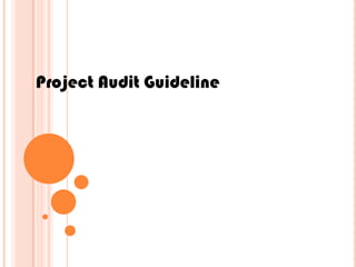 Project Audit Guideline
 