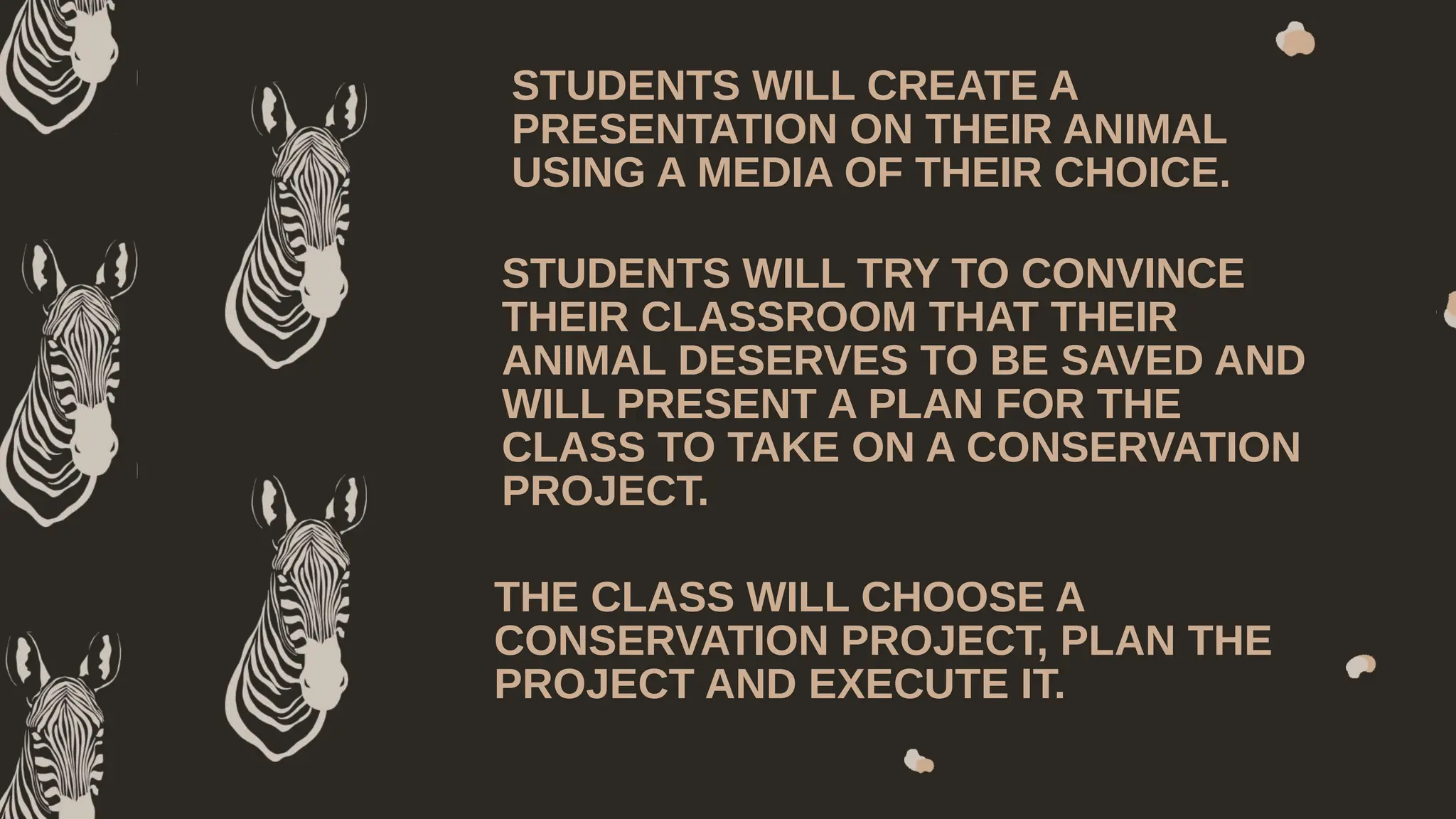Project Based Learning - A Guide for Teachers | PPTX
