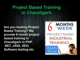 Project Based Training
in Chandigarh
Are you looking Project
Based Training? We
provide 6 month project
based training in
Chandigarh in PHP,
.NET, JAVA, SEO,
Software testing etc.

 