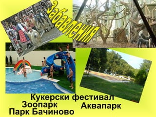 Аквапарк Зоопарк Парк Бачиново Кукерски фестивал Забавления 