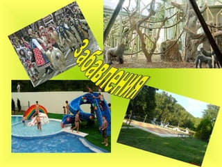 Забавления 