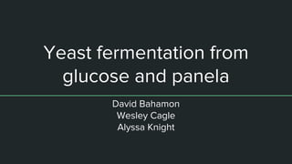 Yeast fermentation from
glucose and panela
David Bahamon
Wesley Cagle
Alyssa Knight
 