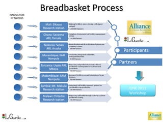 Breadbasket Process INNOVATION NETWORKS JUNE 2011  Workshop 