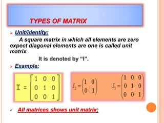 Project business maths | PPTX