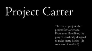 Project Carter
The Carter project, the
project for Carter and
Phantasma bloodlines, the
project specifically designed
to make pretty babies. (It
even sort of worked!)

 