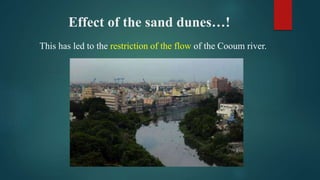 Effect of the sand dunes…!
This has led to the restriction of the flow of the Cooum river.
 